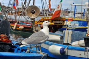 Camogli