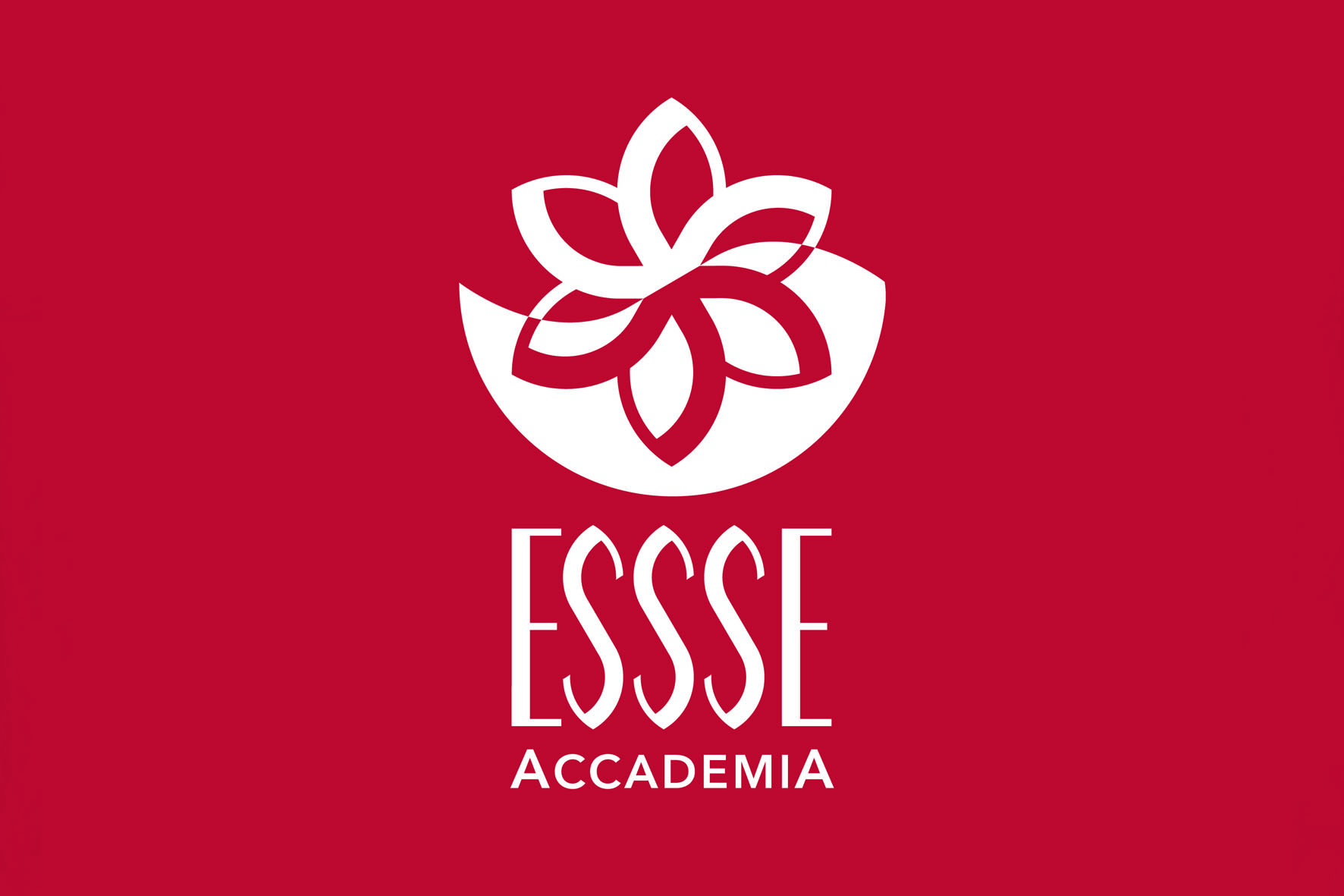 logo-esse-accademia