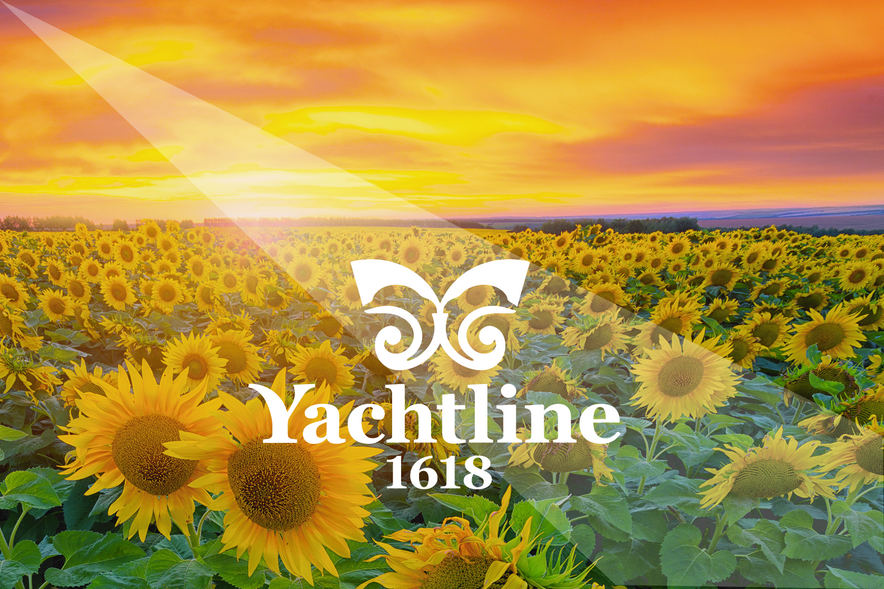 girasole-yachtline1618-logogenesi